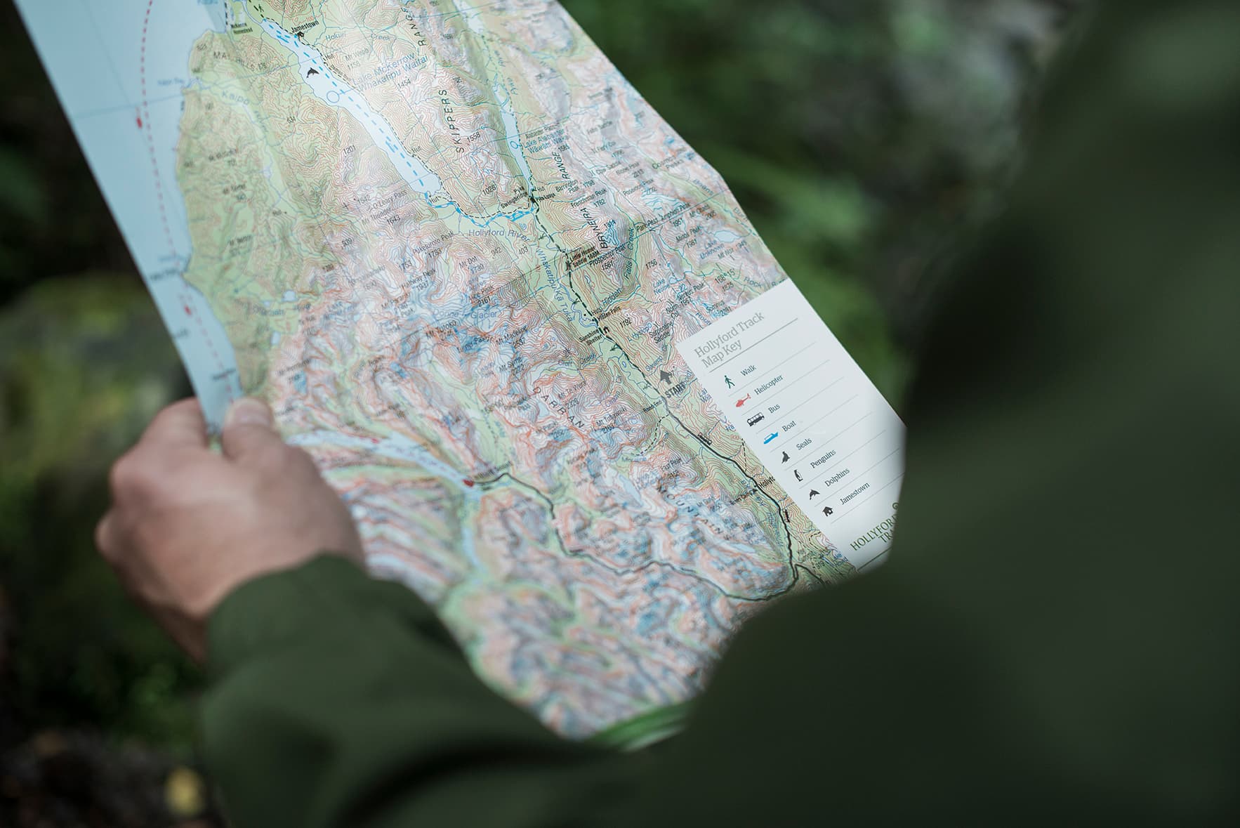 Person looking at tramping map